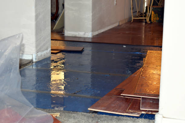 Professional Burst Pipe Cleanup technician working in Shandon, CA