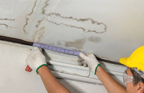 Reliable Burst Pipe Cleanup contractor in Shandon, CA by Water Damage Irwin